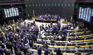 Câmara amplia estrutura estatal na proteção de dados