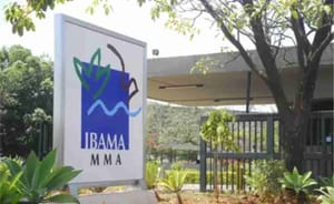 Ibama é acusado de tratamento desigual em casos com influenciadores e artistas