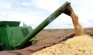 Plano Safra gera críticas do agro apesar de anúncio de valor recorde