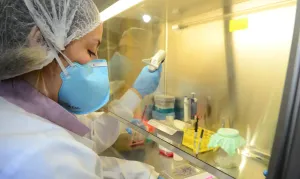 Possíveis remissões do HIV após transplantes animam pesquisadores